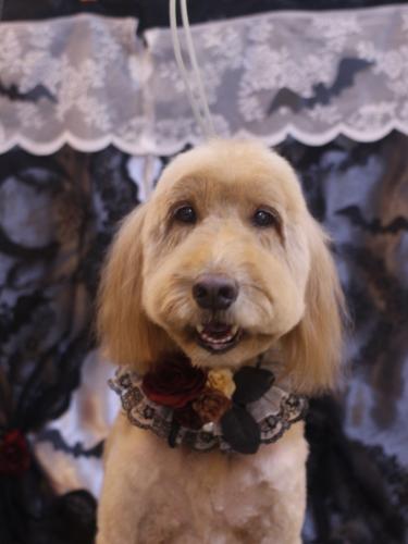 20231019レオくん